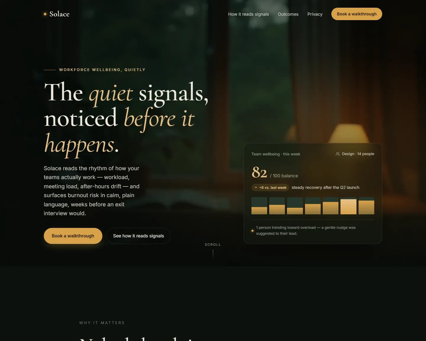 Solace — SaaS, HR Tech landing design